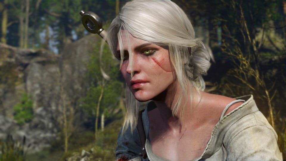 the-witcher-3-wild-hunt-1