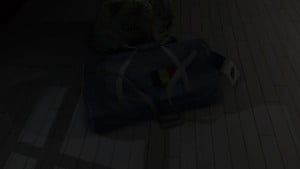 Someone went to Belgium. Did she bring waffels to the party?