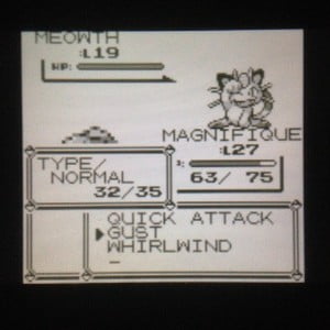 Level 27 Pidgey... still no attack in that 4th slot... Saving it for FLY?