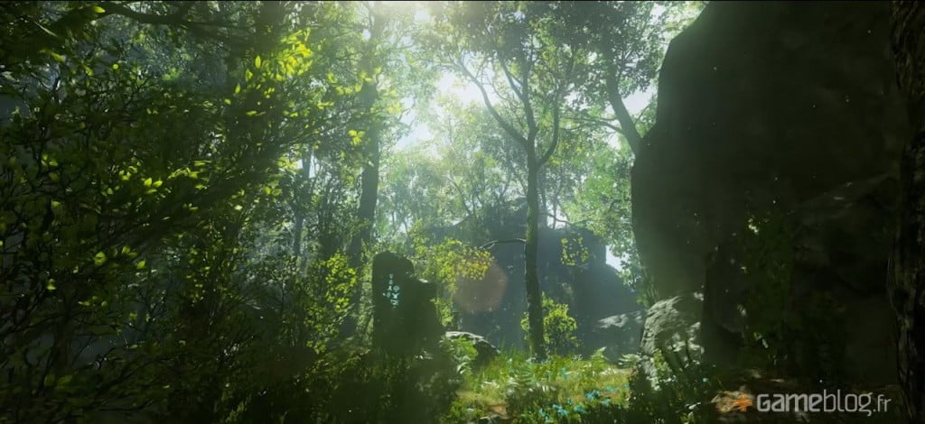 seasonsofheaven_nx_editeur_002